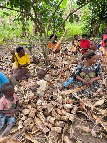 Tree planting work in Africa